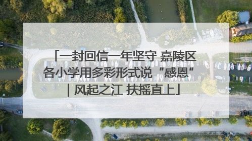 一封回信一年坚守 嘉陵区各小学用多彩形式说“感恩”｜风起之江 扶摇直上