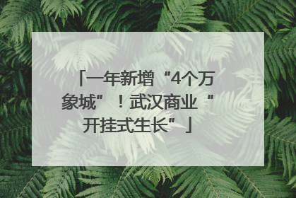 一年新增“4个万象城”！武汉商业“开挂式生长”