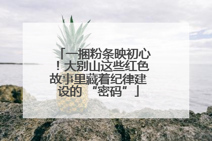 一捆粉条映初心！大别山这些红色故事里藏着纪律建设的 “密码”
