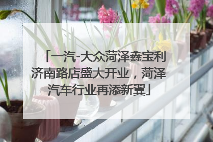 一汽-大众菏泽鑫宝利济南路店盛大开业，菏泽汽车行业再添新翼