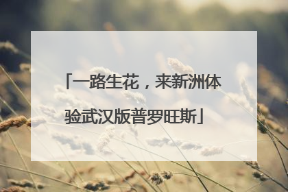 一路生花，来新洲体验武汉版普罗旺斯