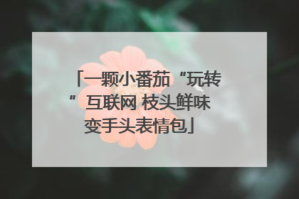 一颗小番茄“玩转”互联网 枝头鲜味变手头表情包