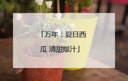 万年：夏日西瓜 清甜爆汁