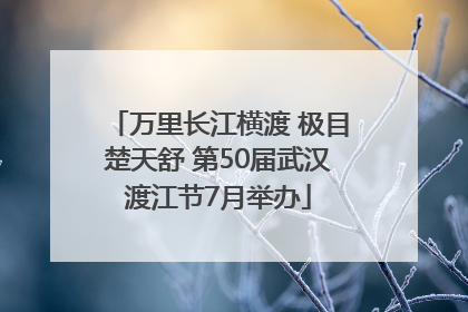 万里长江横渡 极目楚天舒 第50届武汉渡江节7月举办