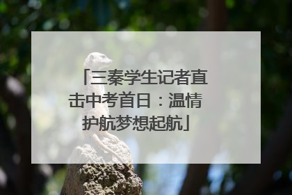 三秦学生记者直击中考首日：温情护航梦想起航