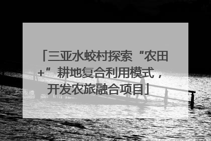 三亚水蛟村探索“农田+”耕地复合利用模式，开发农旅融合项目