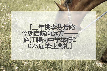 三年桃李芬芳路 今朝启航向远方——庐江裴岗中学举行2025届毕业典礼