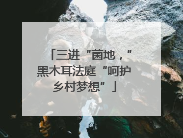 三进“菌地，”黑木耳法庭“呵护乡村梦想”