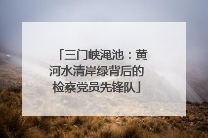 三门峡渑池：黄河水清岸绿背后的检察党员先锋队