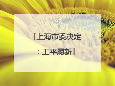 上海市委决定：王平履新
