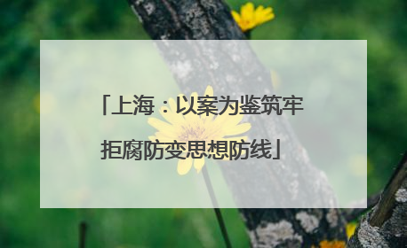 上海：以案为鉴筑牢拒腐防变思想防线