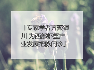 专家学者齐聚银川 为西部虾蟹产业发展把脉问诊