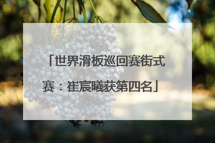 世界滑板巡回赛街式赛：崔宸曦获第四名