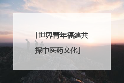 世界青年福建共探中医药文化