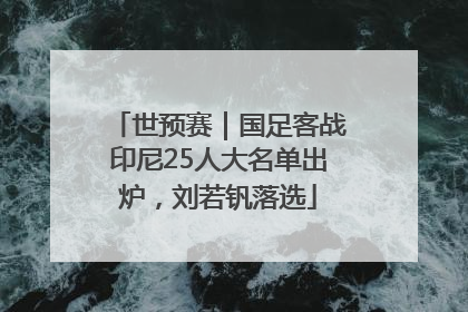 世预赛｜国足客战印尼25人大名单出炉，刘若钒落选