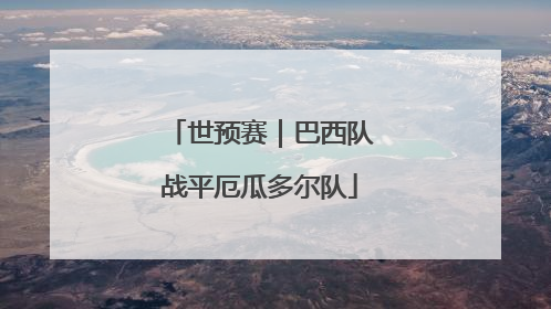 世预赛｜巴西队战平厄瓜多尔队