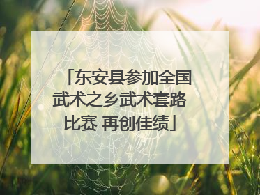 东安县参加全国武术之乡武术套路比赛 再创佳绩