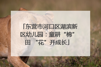 东营市河口区湖滨新区幼儿园：童耕“棉”田 “花”开成长