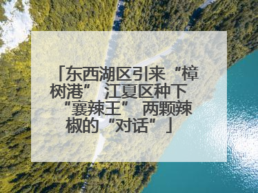 东西湖区引来“樟树港” 江夏区种下“襄辣王” 两颗辣椒的“对话”