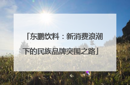 东鹏饮料：新消费浪潮下的民族品牌突围之路