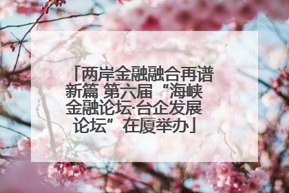 两岸金融融合再谱新篇 第六届“海峡金融论坛·台企发展论坛”在厦举办