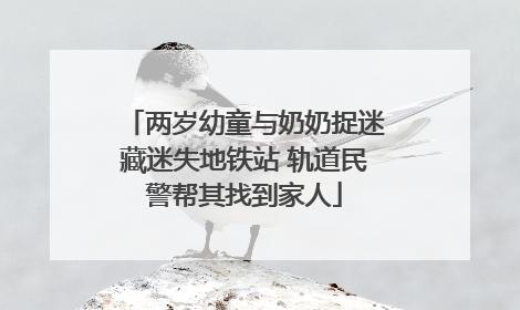 两岁幼童与奶奶捉迷藏迷失地铁站 轨道民警帮其找到家人