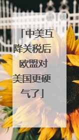 中美互降关税后 欧盟对美国更硬气了