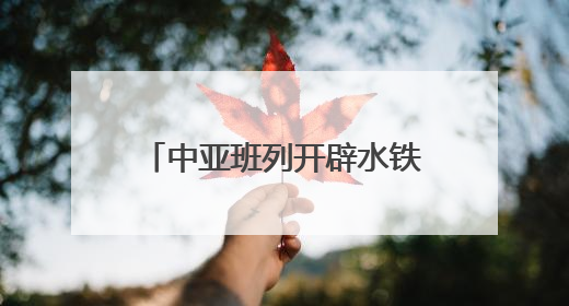 中亚班列开辟水铁联运新通道 物流综合成本降四成