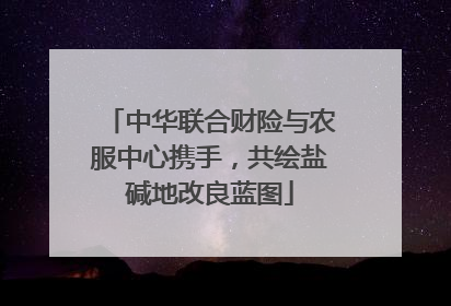 中华联合财险与农服中心携手，共绘盐碱地改良蓝图
