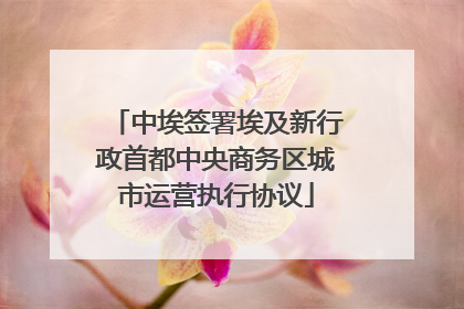 中埃签署埃及新行政首都中央商务区城市运营执行协议