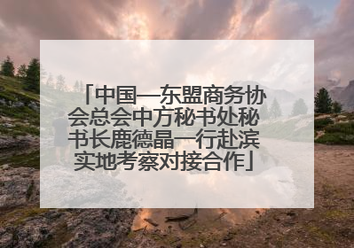 中国—东盟商务协会总会中方秘书处秘书长鹿德晶一行赴滨实地考察对接合作