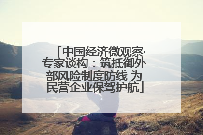 中国经济微观察·专家谈构：筑抵御外部风险制度防线 为民营企业保驾护航