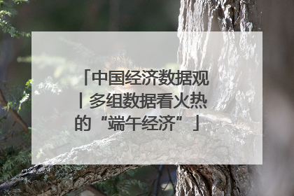 中国经济数据观丨多组数据看火热的“端午经济”