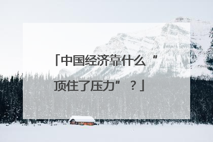 中国经济靠什么“顶住了压力”？