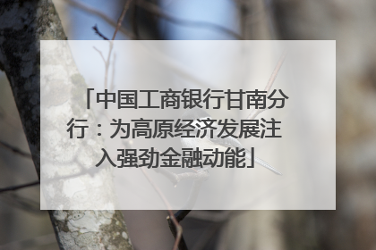 中国工商银行甘南分行：为高原经济发展注入强劲金融动能