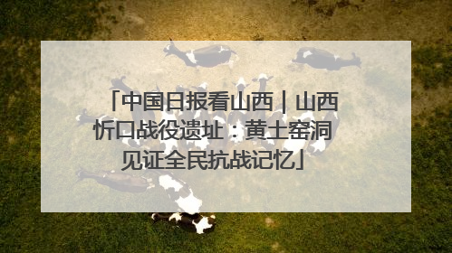 中国日报看山西｜山西忻口战役遗址：黄土窑洞见证全民抗战记忆