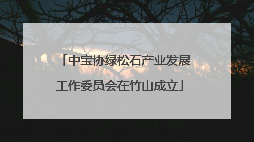 中宝协绿松石产业发展工作委员会在竹山成立