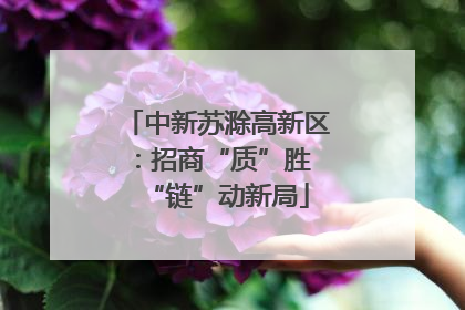 中新苏滁高新区：招商“质”胜 “链”动新局