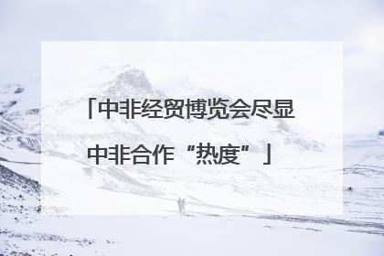 中非经贸博览会尽显中非合作“热度”