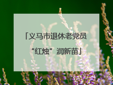 义马市退休老党员“红烛”润新苗
