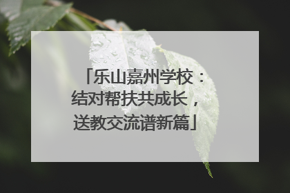 乐山嘉州学校：结对帮扶共成长，送教交流谱新篇