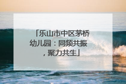 乐山市中区茅桥幼儿园：同频共振，聚力共生