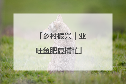 乡村振兴｜业旺鱼肥夏捕忙