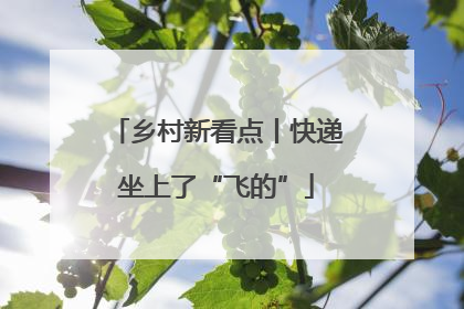 乡村新看点丨快递坐上了“飞的”