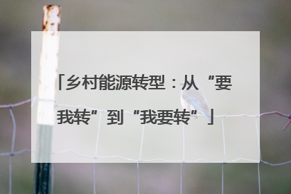 乡村能源转型：从“要我转”到“我要转”