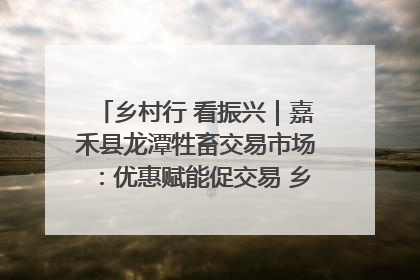 乡村行 看振兴｜嘉禾县龙潭牲畜交易市场：优惠赋能促交易 乡村振兴添动能