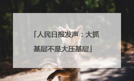 人民日报发声：大抓基层不是大压基层