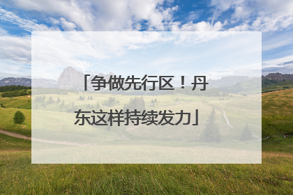 争做先行区！丹东这样持续发力