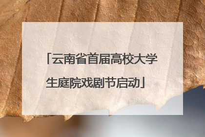 云南省首届高校大学生庭院戏剧节启动