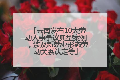 云南发布10大劳动人事争议典型案例，涉及新就业形态劳动关系认定等
